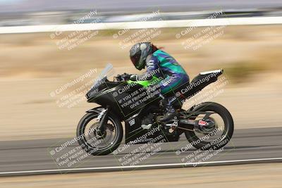 media/Mar-12-2023-SoCal Trackdays (Sun) [[d4c8249724]]/Turn 3 Speed Pans (1115am)/